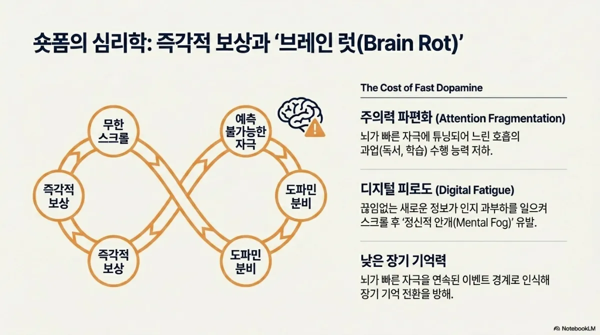 숏폼의 심리학 즉각적 보상과 브레인 럿(Brain Rot) 슬라이드. 왼쪽은 무한 스크롤 → 예측 불가능한 자극 → 도파민 분비 → 즉각적 보상이 무한대 모양으로 반복되는 고리. 오른쪽 The Cost of Fast Dopamine은 주의력 파편화(뇌가 빠른 자극에 맞춰져 독서·학습 같은 느린 호흡의 과업 수행 능력 저하), 디지털 피로도(끊임없는 새로운 정보가 인지 과부하를 일으켜 스크롤 후 정신적 안개 유발), 낮은 장기 기억력(뇌가 빠른 자극을 연속된 이벤트 경계로 인식해 장기 기억 전환을 방해)