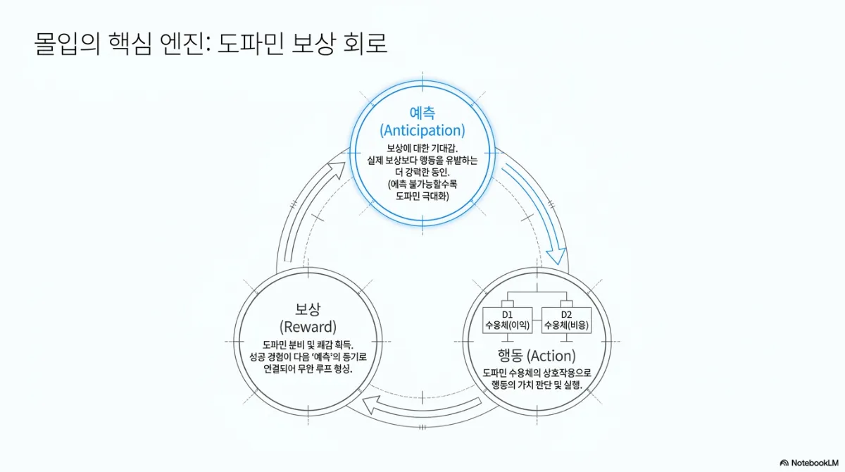 몰입의 핵심 엔진: 도파민 보상 회로 슬라이드. 예측(Anticipation) — 보상에 대한 기대감으로 실제 보상보다 행동을 유발하는 더 강력한 동인이며 예측 불가능할수록 도파민이 커짐. 행동(Action) — D1 수용체(이익)와 D2 수용체(비용)의 상호작용으로 행동의 가치를 판단하고 실행. 보상(Reward) — 도파민 분비와 쾌감 획득, 성공 경험이 다음 예측의 동기로 연결되어 순환 루프 형성. 세 원이 화살표로 이어진 순환 도식