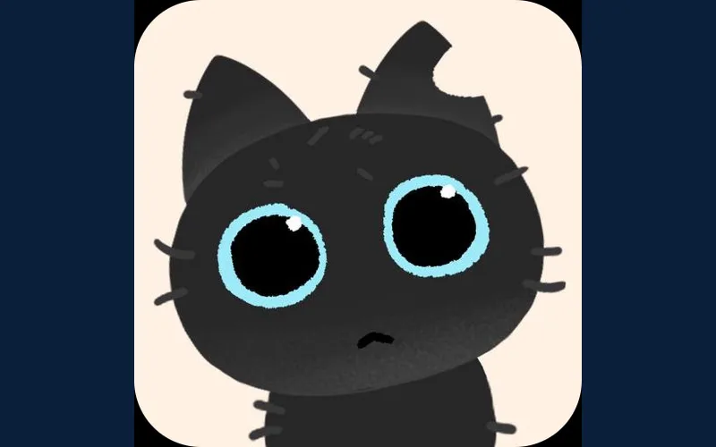 깜냥이 — 고양이 돌봄 기록 화면